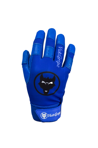 Howler Blue Batting Gloves back