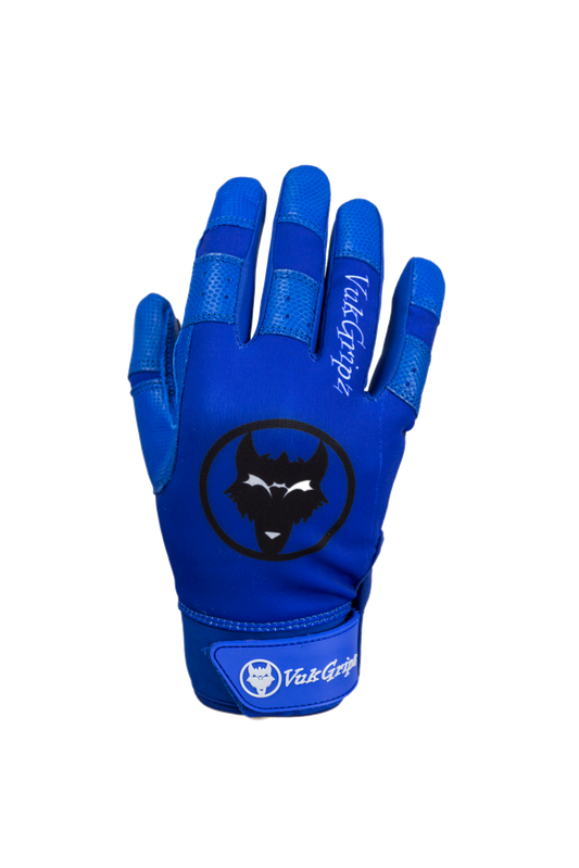 Howler Blue Batting Gloves back