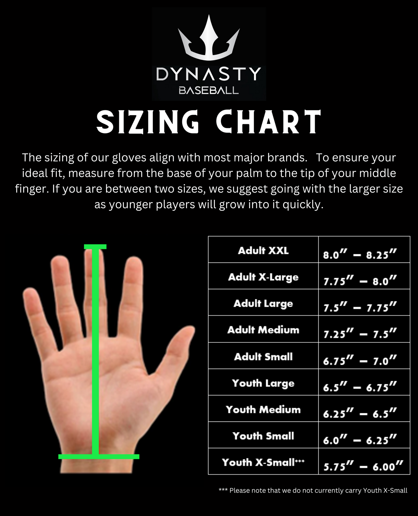 Dynasty Baseball Size Chart